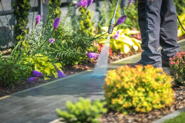 Forest Lake, MN Pressure Washing Services Company
